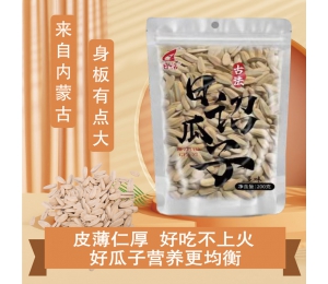 日詔瓜子200g
