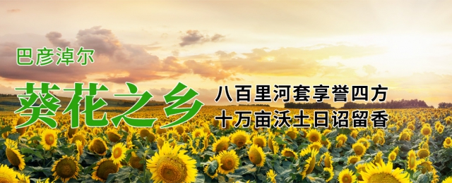 關(guān)于我們